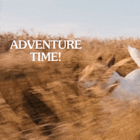 Adventure Time Running GIF by Taste of the Wild
