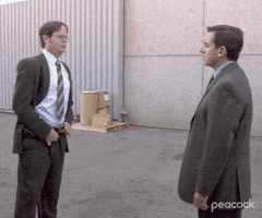Stripping Season 5 GIF by The Office