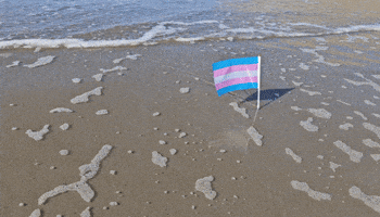 Beach Wave GIF by AceArchive