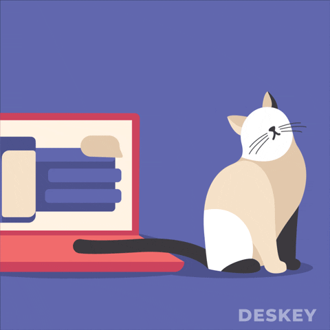 Work From Home Cat GIF by Deskey Branding