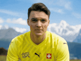 Young Boys Football GIF by Herr Fuchs Zurich