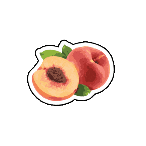 San Antonio Fruit Sticker by Extremo Wines