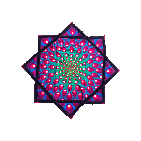 spinflowstar Sticker