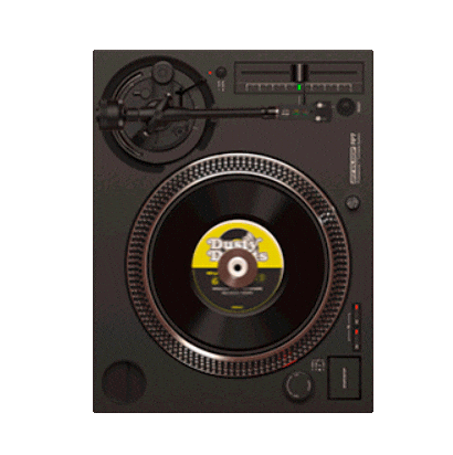 Vinyl Records Sticker by ReloopDJ