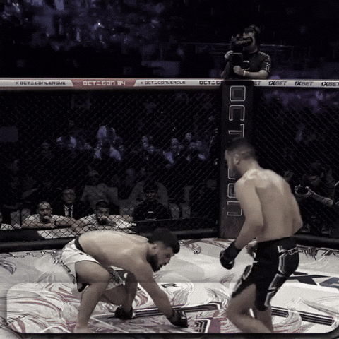 Ufc Karim GIF