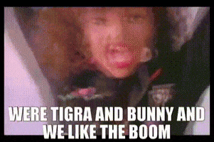 Tigra Bunny Boom GIF