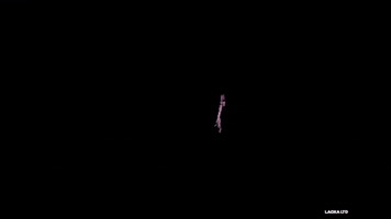Animation GIF