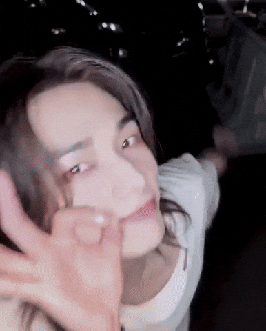 Stray Kids Skz GIF