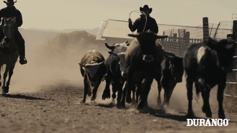 GIF by DurangoBoots - Find & Share on GIPHY