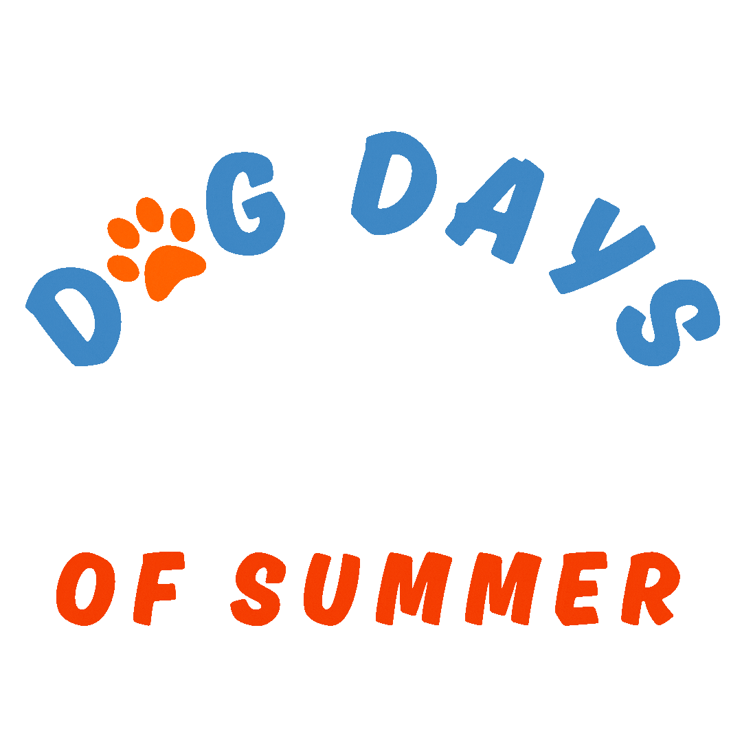 Dog Days Of Summer First Friday Sticker by Intown Concord