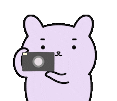 Photo Sticker