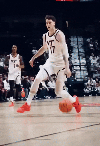 Virginia Tech Neo GIF