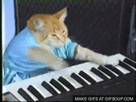 keyboard kat GIF