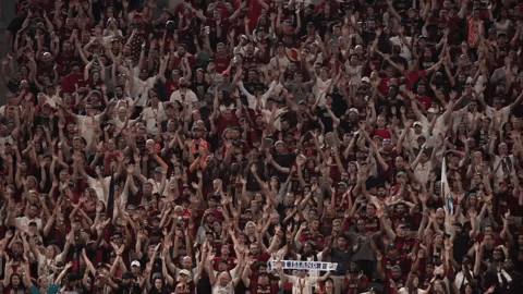 giphy.gif?cid=790b76115ce9284a415a2e6232b87e56&rid=giphy.gif