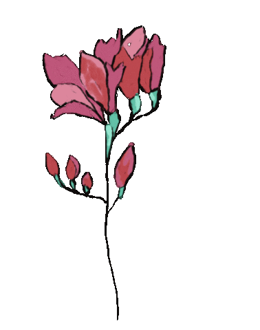 Nature Sticker