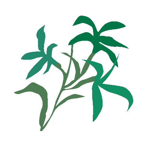 Bodrum Sticker by Gümüşlük Müzik Festivali