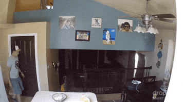 sneak up GIF by Nest