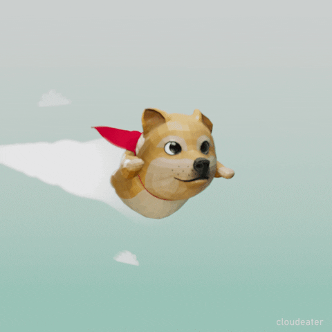 Doge Dogecoin GIF