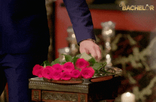 rose honeybadger GIF by The Bachelor Australia