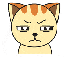 Angry Cat GIF by My Girly Unicorn