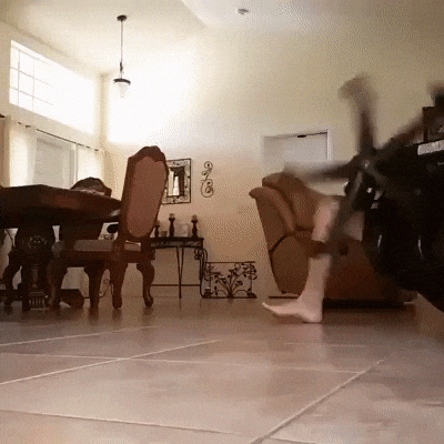 https://media3.giphy.com/media/yzCqWiC3ADAKA/giphy.gif?cid=28f76e61486ub90in0ncbmph5s6h4hvrx2m7680du94zwu7n&rid=giphy.gif