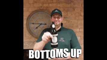 Drink To That Bottoms Up GIF by Jimmy the Mower