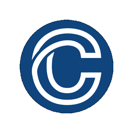 Conecto ZHAW Sticker