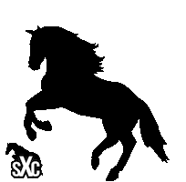 Sxc Sticker by Super X Country