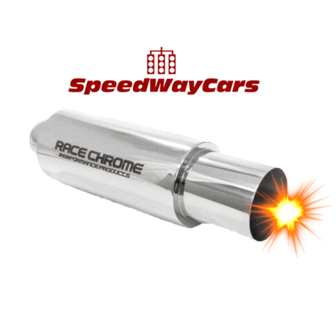 SpeedWayCars Sticker