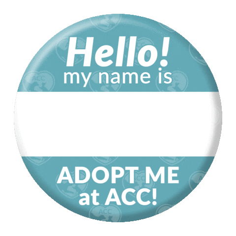 Adoption Adopt Sticker by nycacc
