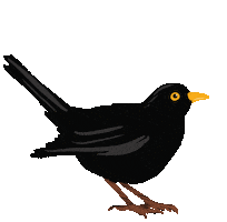 Bird Eating Sticker