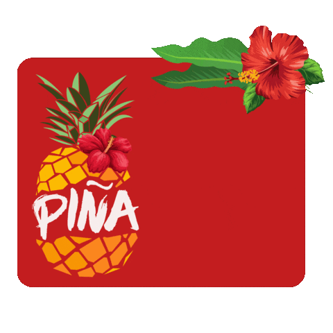 Pinasalsa Sticker by Pina Netherlands