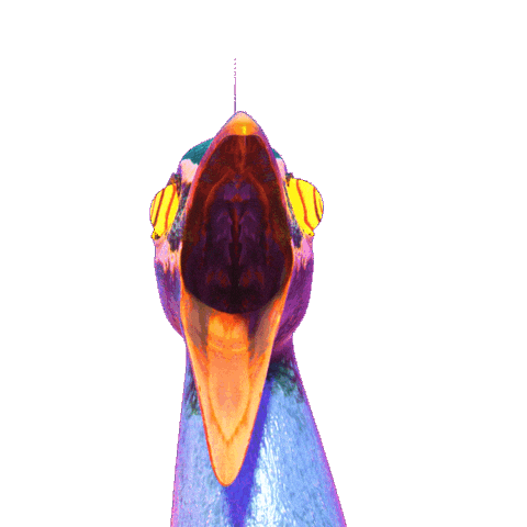 Dr Peacock Hardcore Sticker by DVTD MGMT