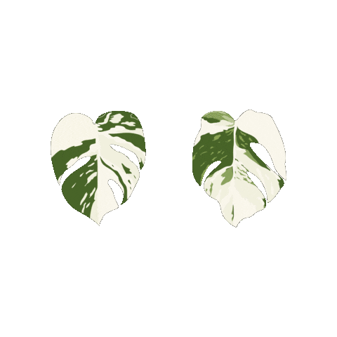 First Gen House Sticker