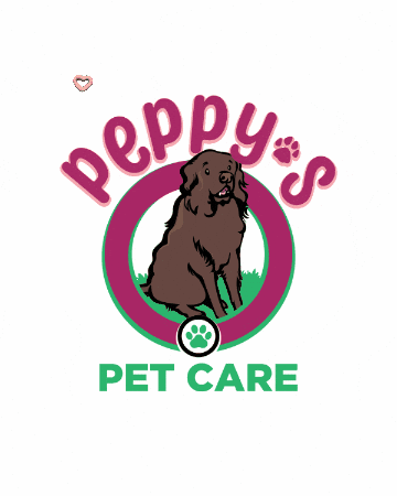 GIF by Jump Consulting