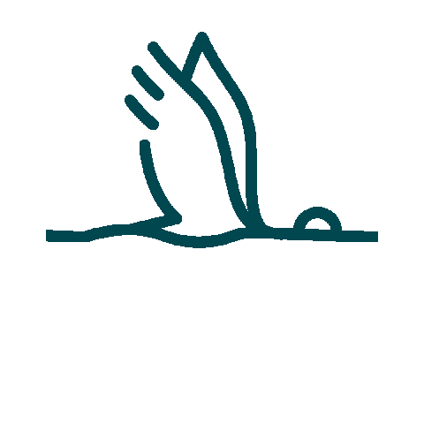 Discover Monroe-West Monroe Sticker