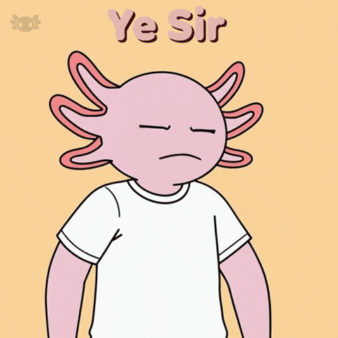 Respect Saluting GIF