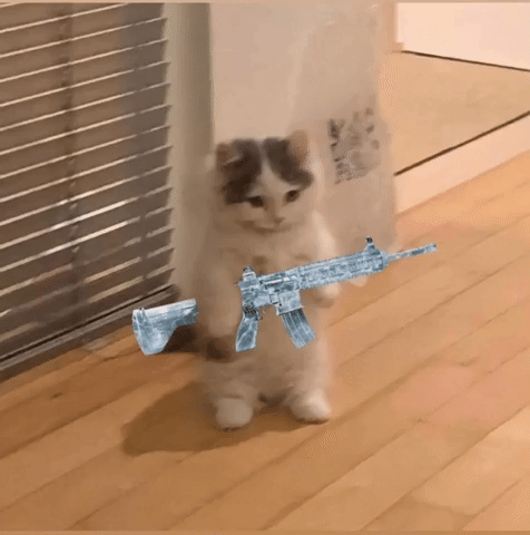 Pubg GIF