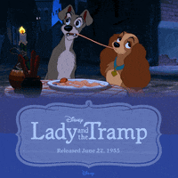 lady and the tramp dogs GIF by Disney