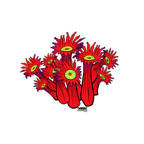World Wide Corals Sticker