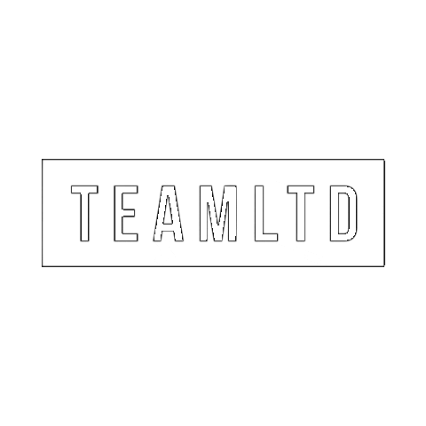 TEAMLTD Sticker