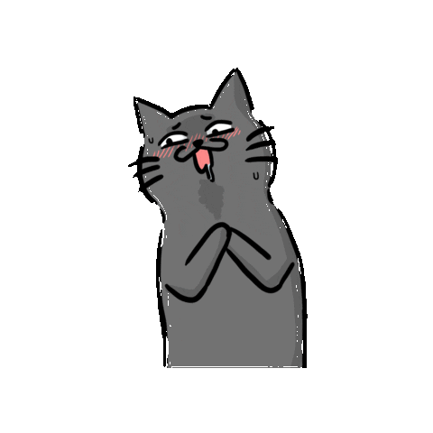 angry black cat gif