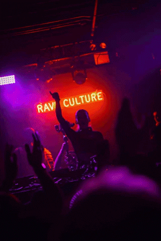 Rave Raveculture GIF by Techno Brooklyn