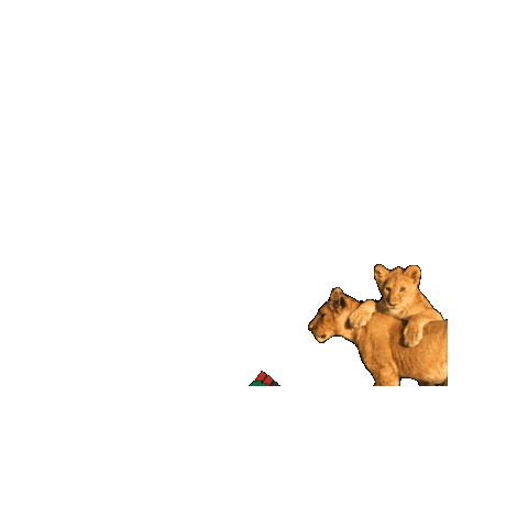 Melanated Safaris LTD. Sticker