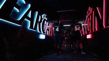 French GIF by Cincinnati Bearcats