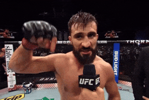 Ufc Mma GIF by Studo