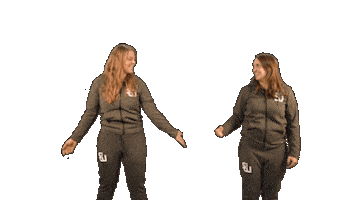 Senwlv Sticker by Sport en Welzijn Leidschendam-Voorburg