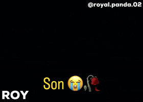 Panda Son GIF