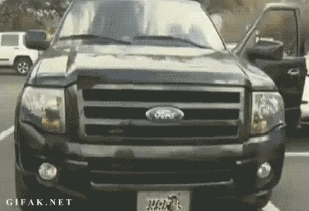 ford owl GIF