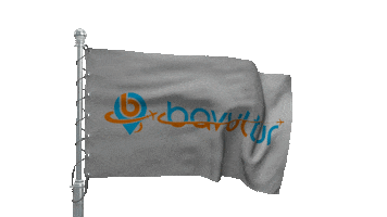 Bavultur Sticker